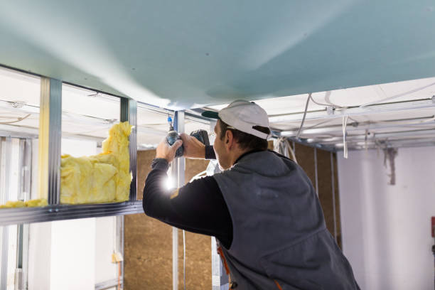 Best Eco-Friendly Insulation in Heyburn, ID