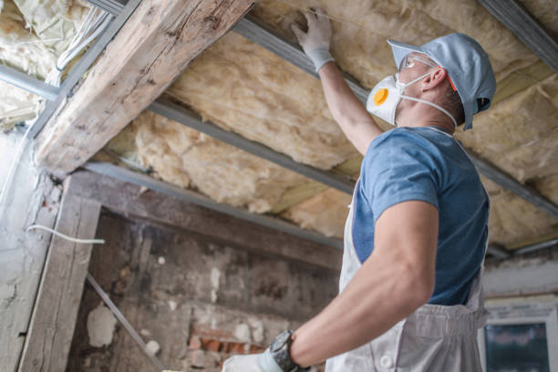 Best Blown-in Insulation in Heyburn, ID